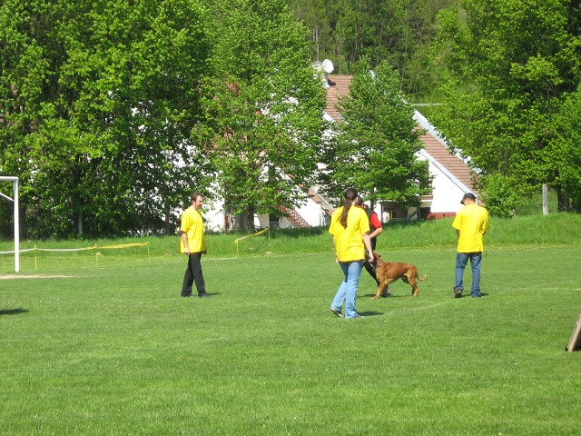 www.atibox.net * www.euroboxer.eu * www.boxergenealogia.eu